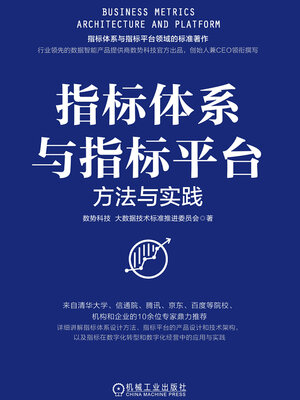cover image of 指标体系与指标平台
